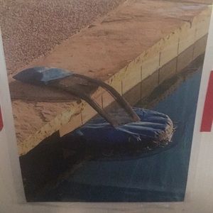 Frog Log Critter Saving Escape Ramp